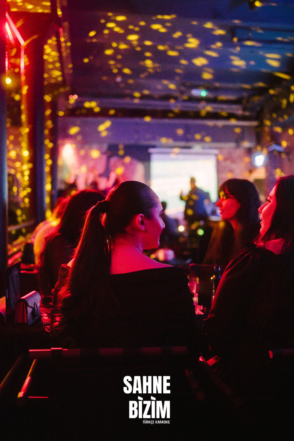 Sams_Karaoke_15_11_24_53_of_55_