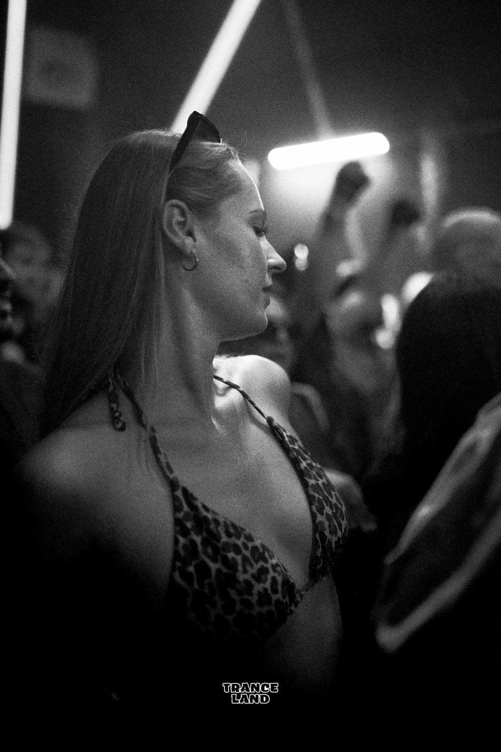 _DSC0304